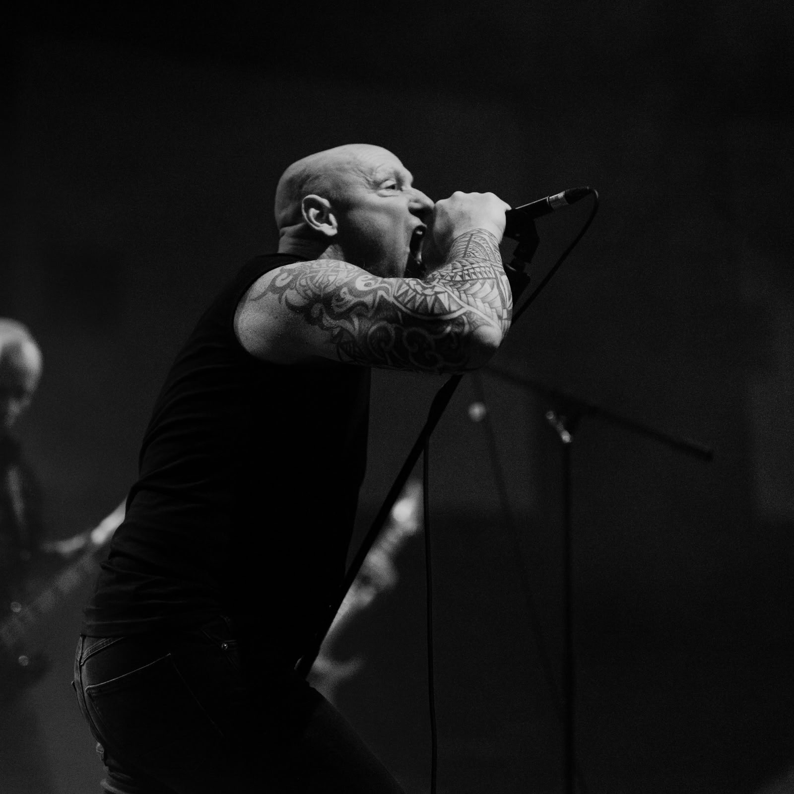 Oltas est un groupe néerlandais de doom/death metal originaire de Frise, connu pour son mélange de sonorités lourdes et d'intensité émotionnelle profonde. Leur musique explore des thèmes existentiels et des paysages sonores variés. - Image 4